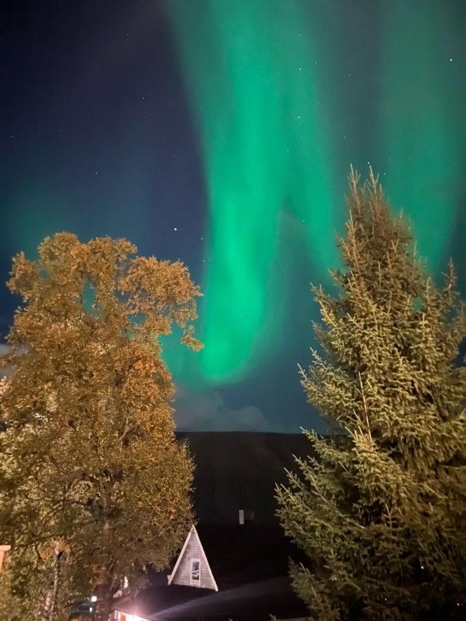 Tromso Arctic Villa With Free Parking 外观 照片