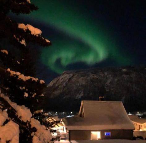 Tromso Arctic Villa With Free Parking 外观 照片