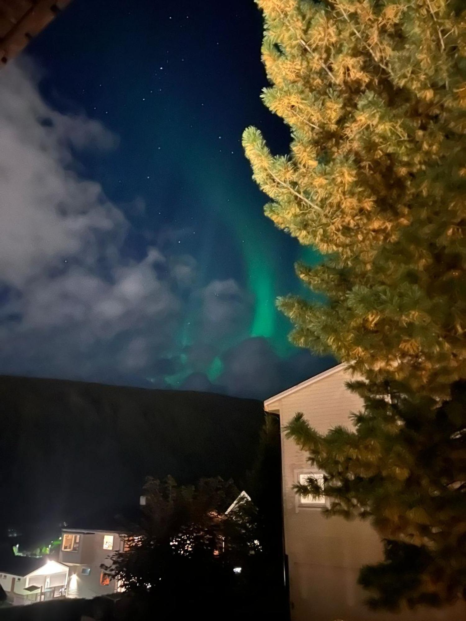 Tromso Arctic Villa With Free Parking 外观 照片